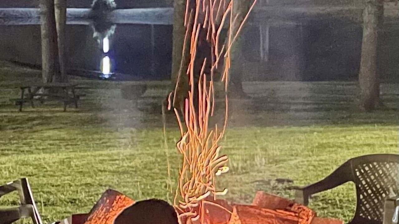 Photo of Outdoor in Wappapello