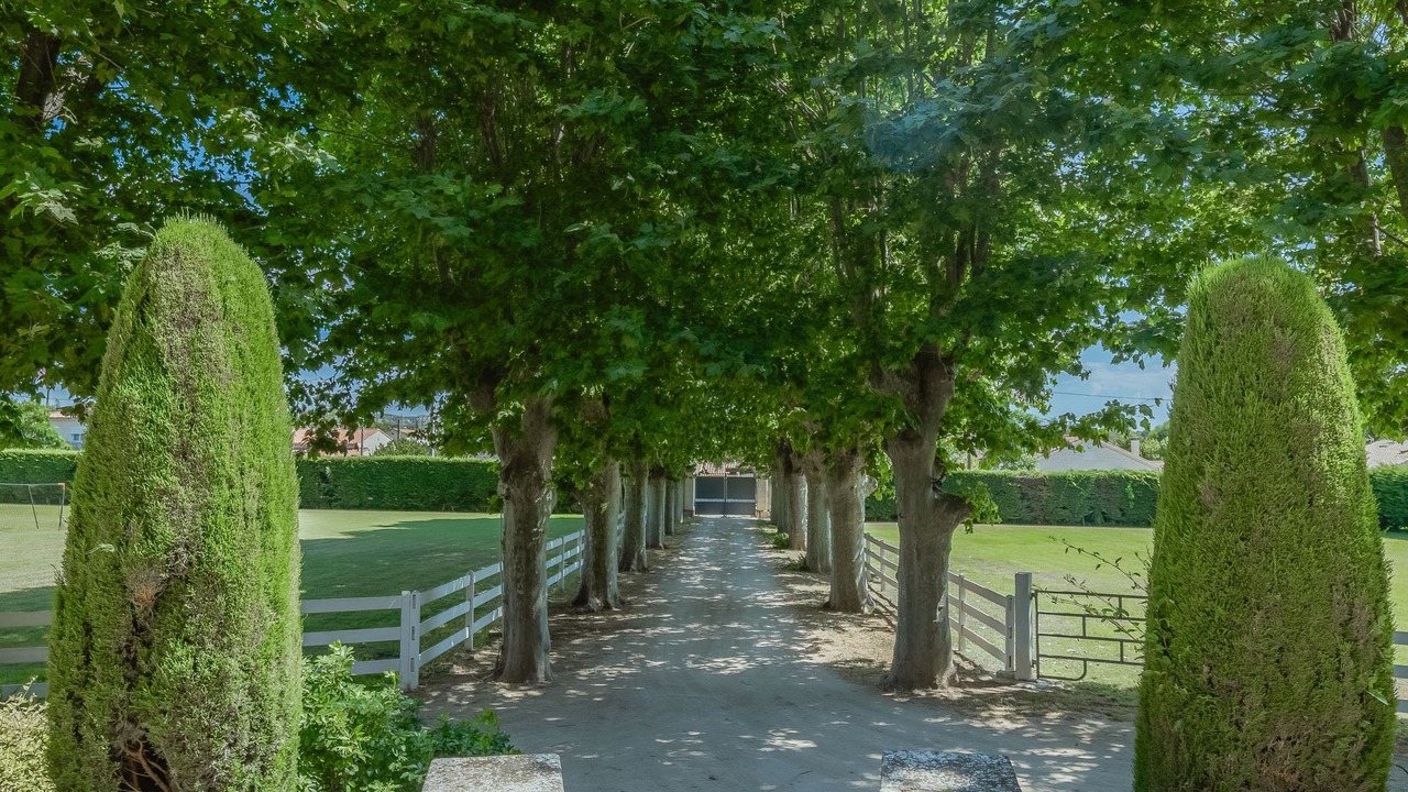 Photo of Outdoor in Saint-Victoret
