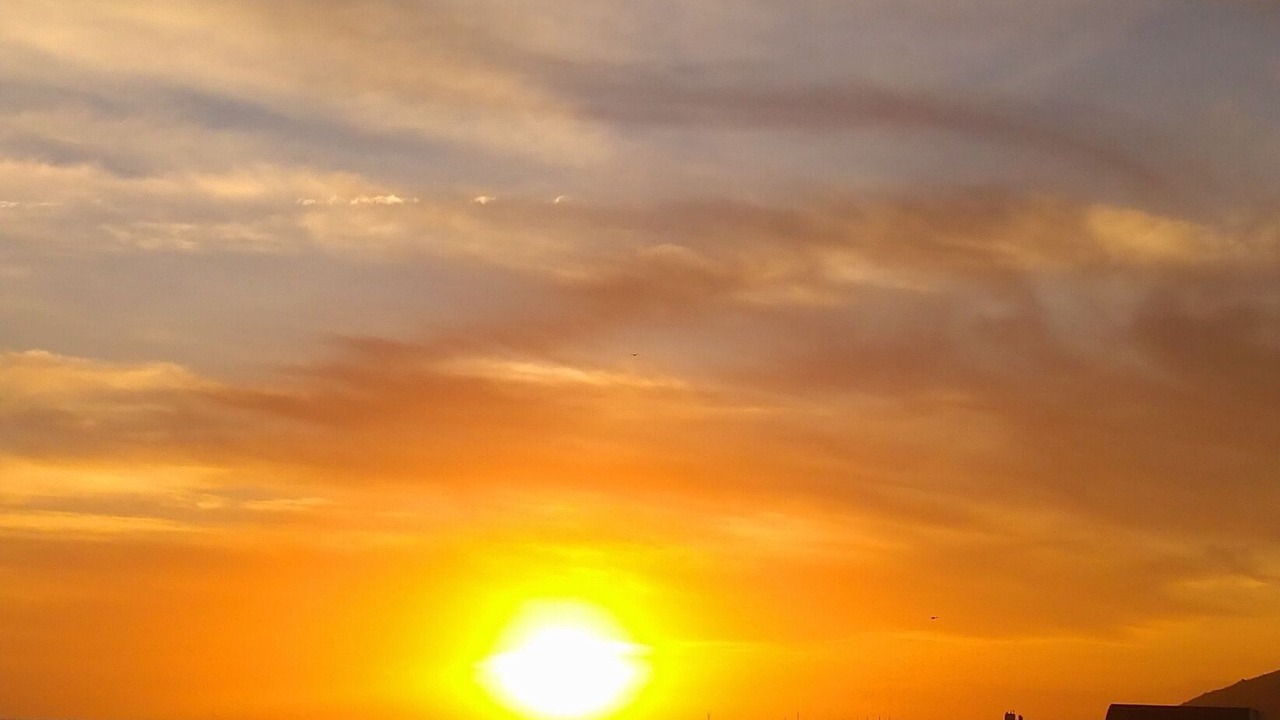 Photo of Others in Belvedere-Campomoro