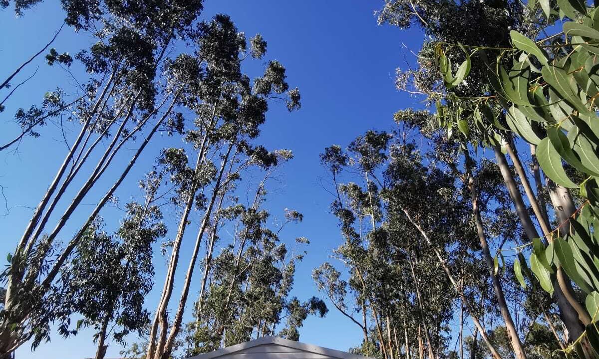 Photo of Outdoor in Belvedere-Campomoro