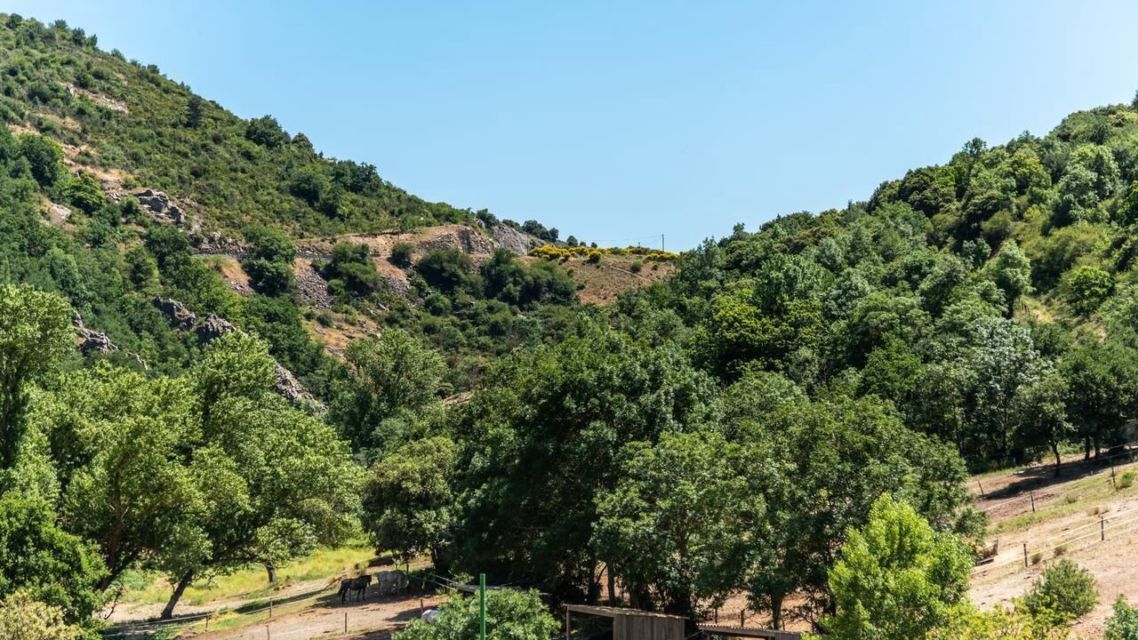 Photo of Outdoor in Rieussec