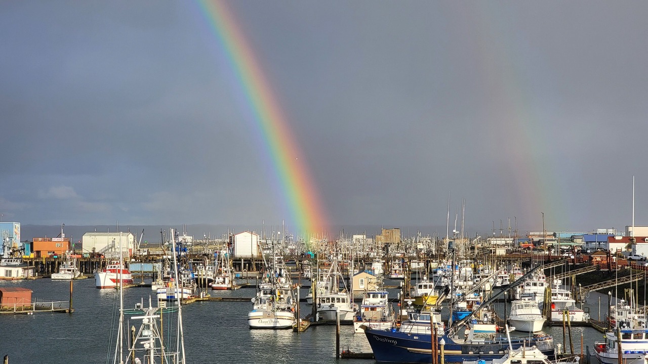 Photo of Others in Westport