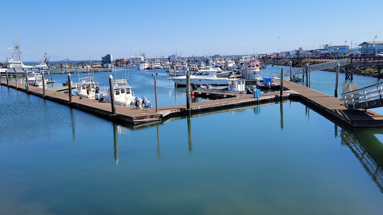 Photo of Others in Westport