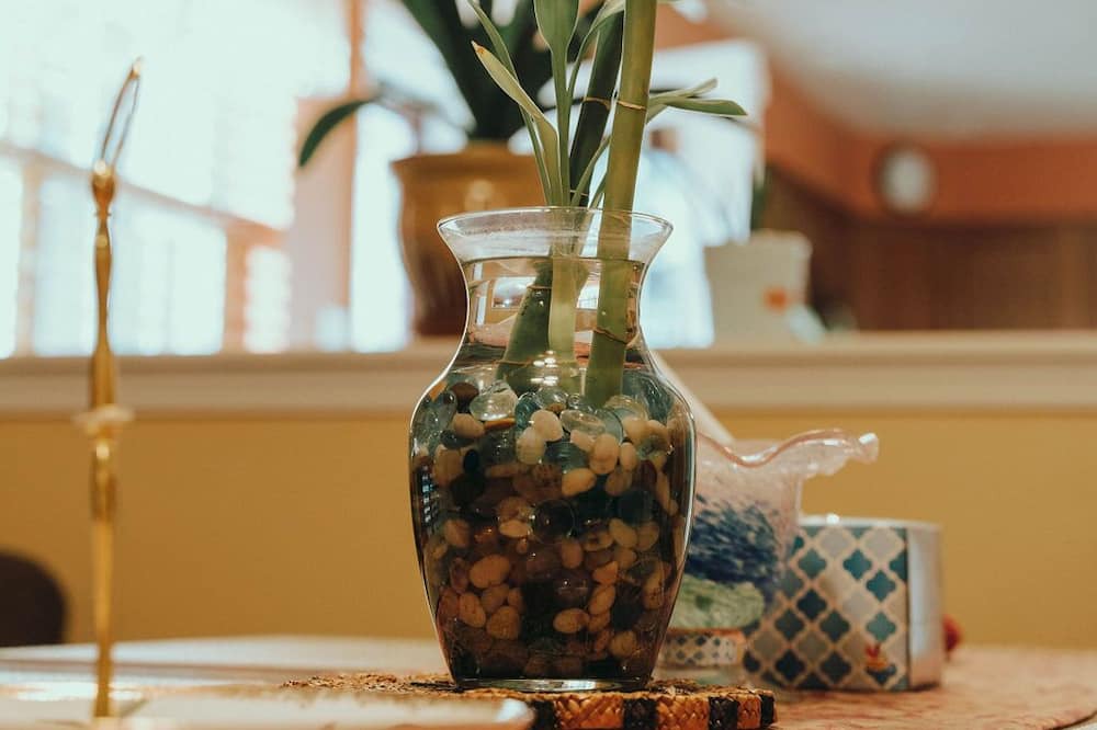 Photo of Others in West Bristol