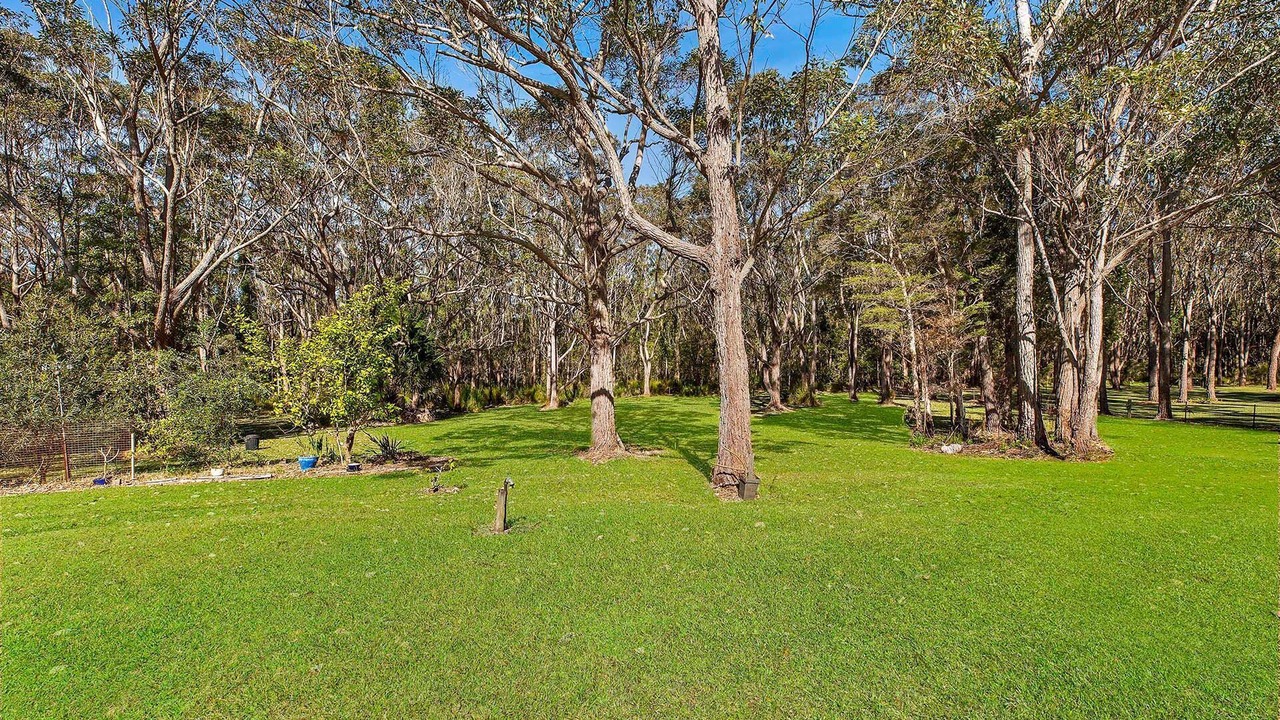 Photo of Others in Tumbi Umbi