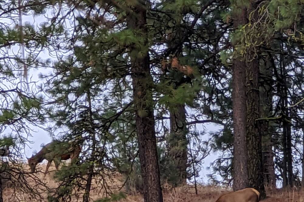 Photo of Others in Garden Valley