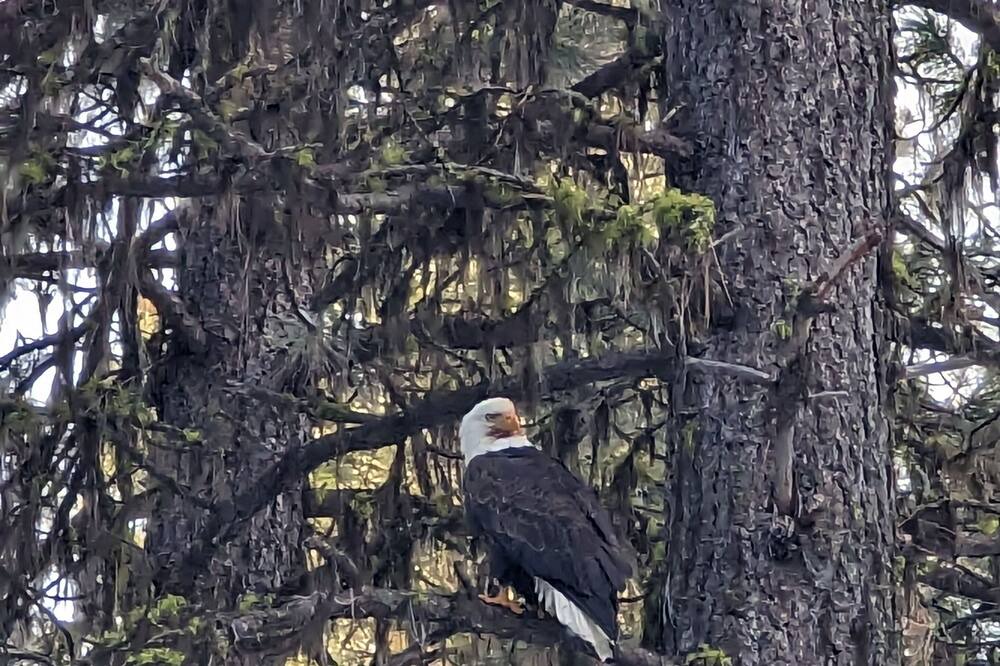 Photo of Others in Garden Valley