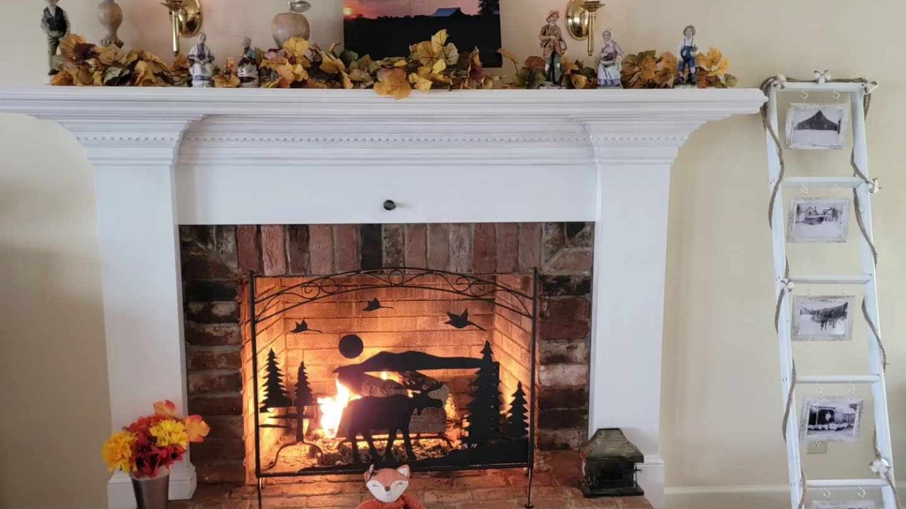 Photo of Livingroom in Burks Fork