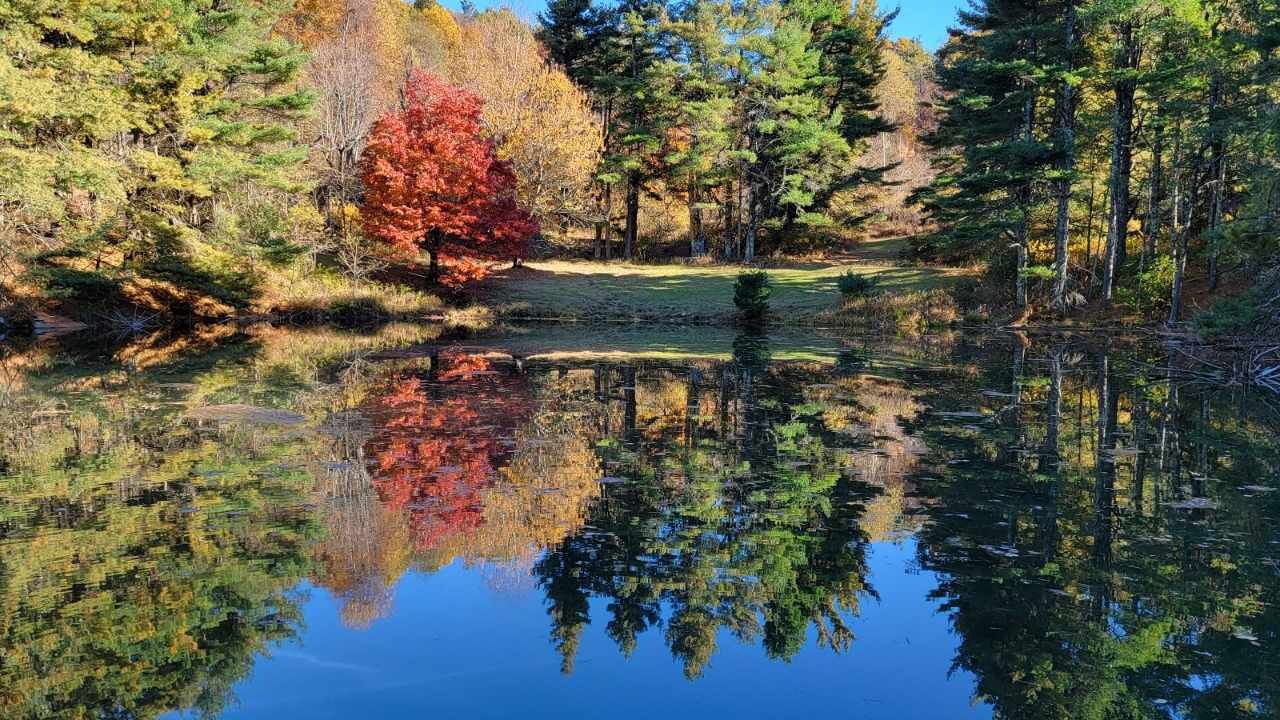 Photo of Outdoor in Burks Fork