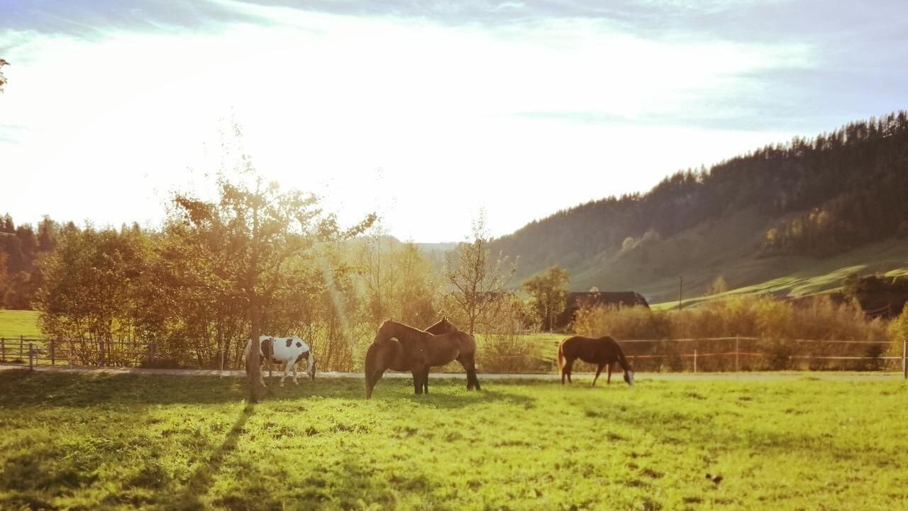 Photo of Others in Escholzmatt