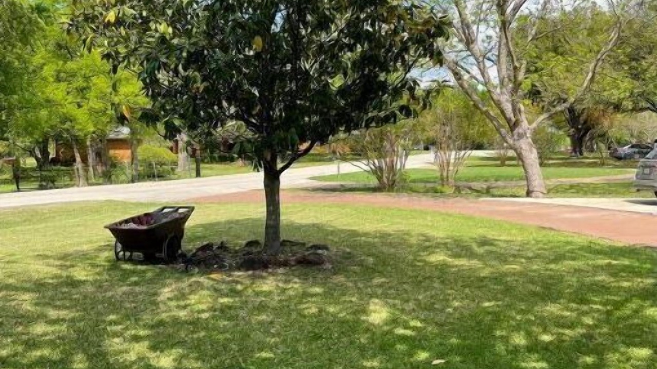 Photo of Outdoor in Sunnyvale