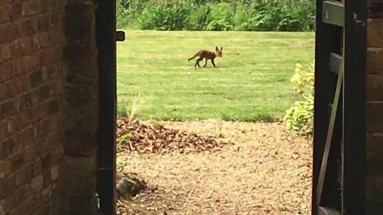 Photo of Outdoor in Flore