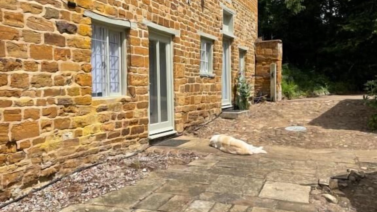 Photo of Outdoor in Flore