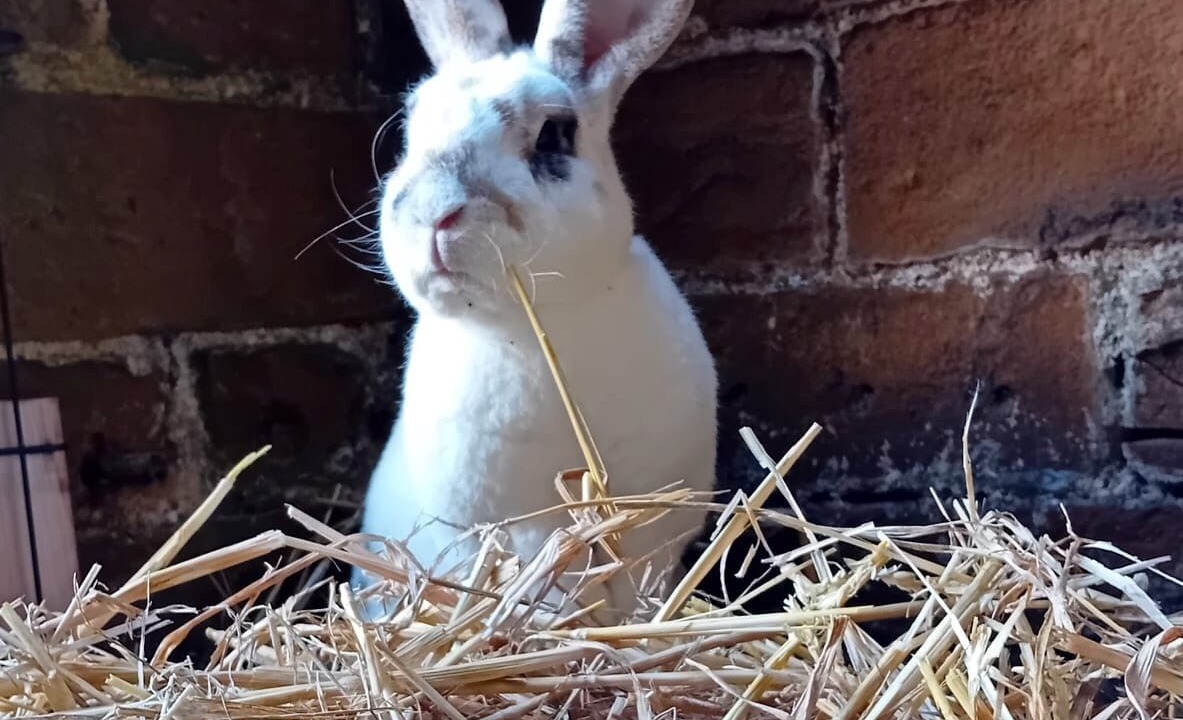 Photo of Outdoor in Flore