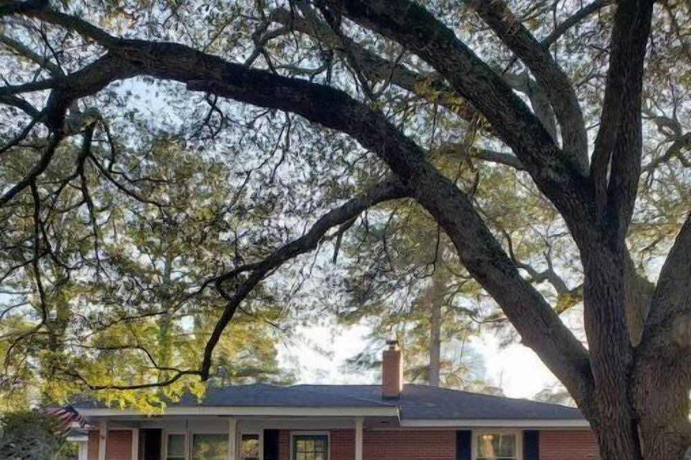 Photo of Outdoor in Rocky Mount