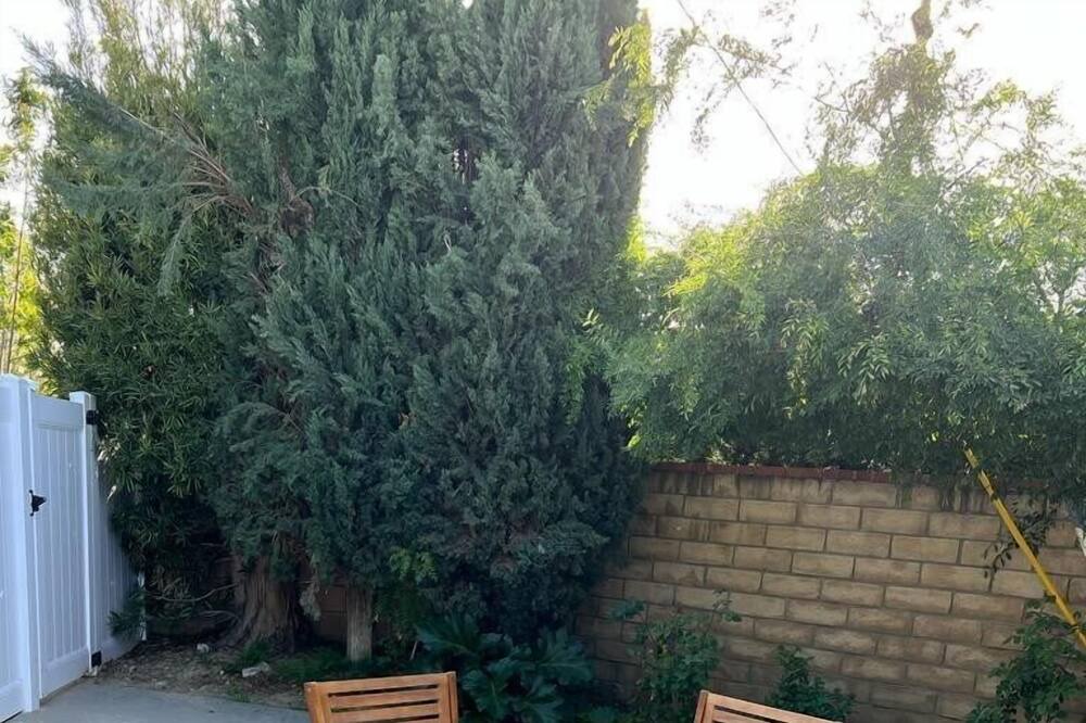 Photo of Outdoor in Winnetka
