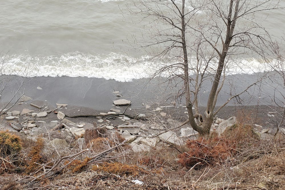 Photo of Others in Eastlake