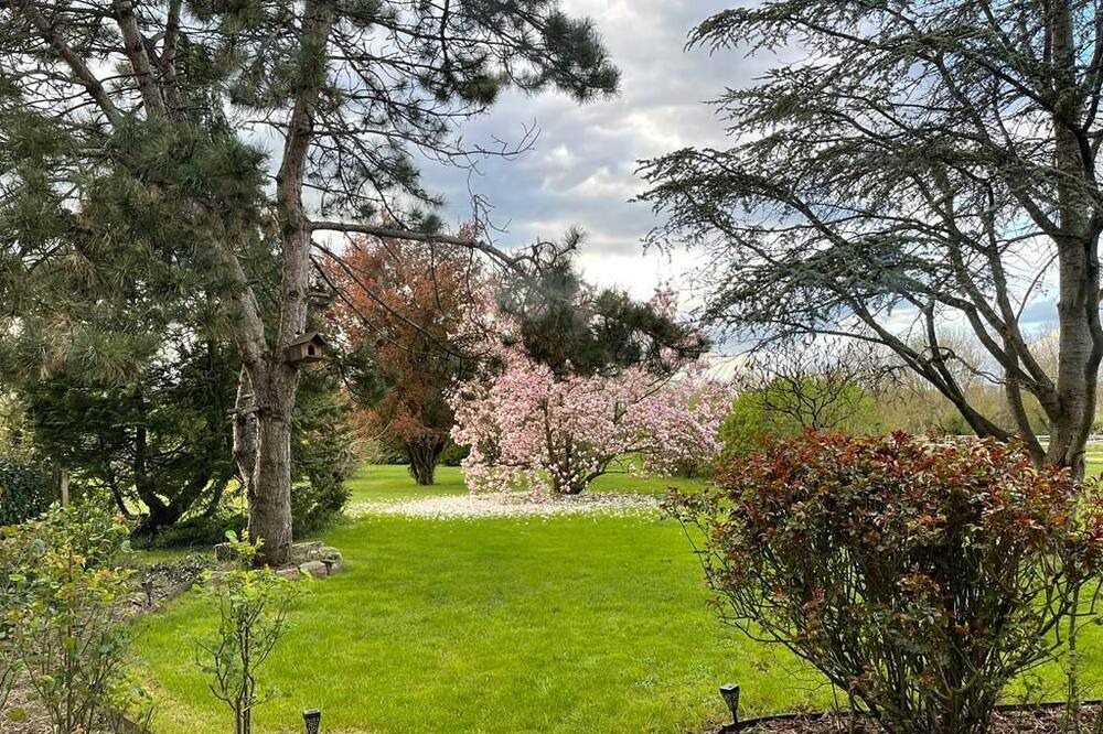 Photo of Outdoor in Villeneuve-sur-Bellot