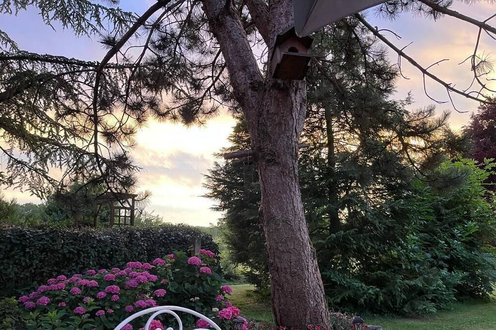 Photo of Outdoor in Villeneuve-sur-Bellot