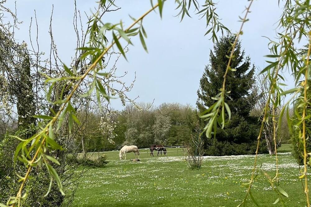 Photo of Outdoor in Villeneuve-sur-Bellot