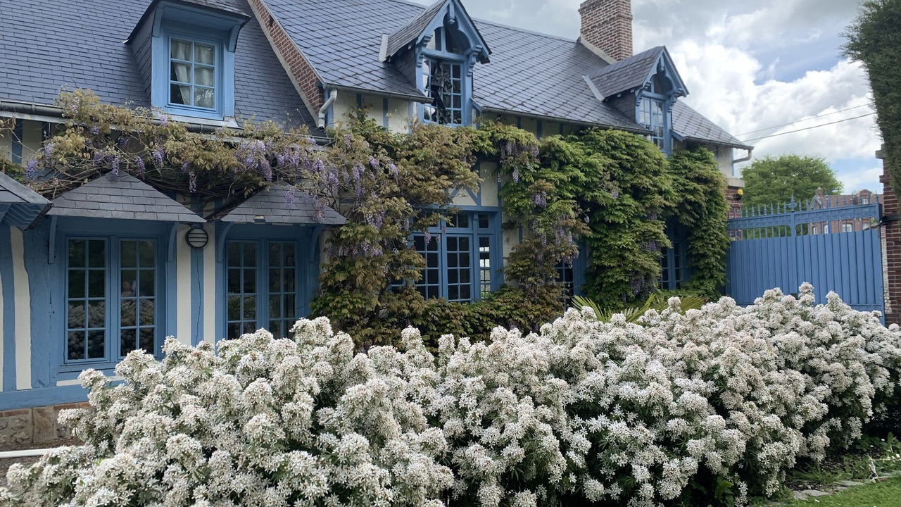 Photo of Outdoor in Saint-Valery-en-Caux