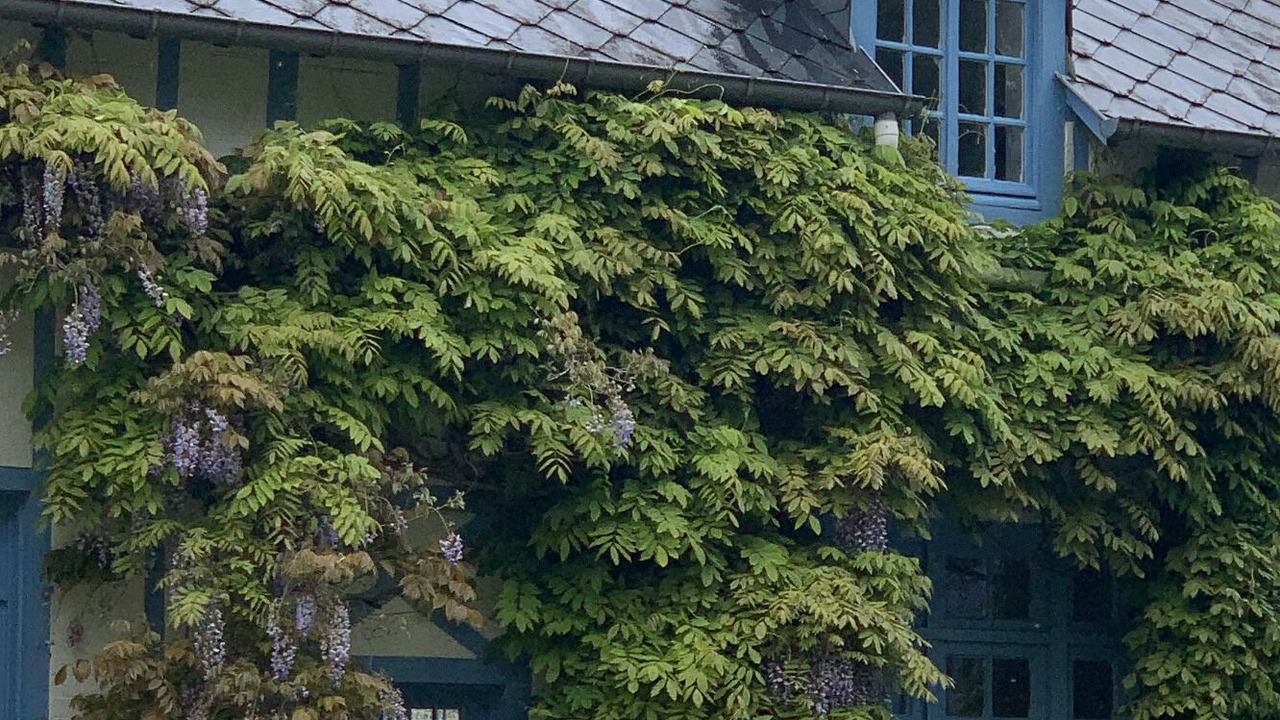 Photo of Outdoor in Saint-Valery-en-Caux