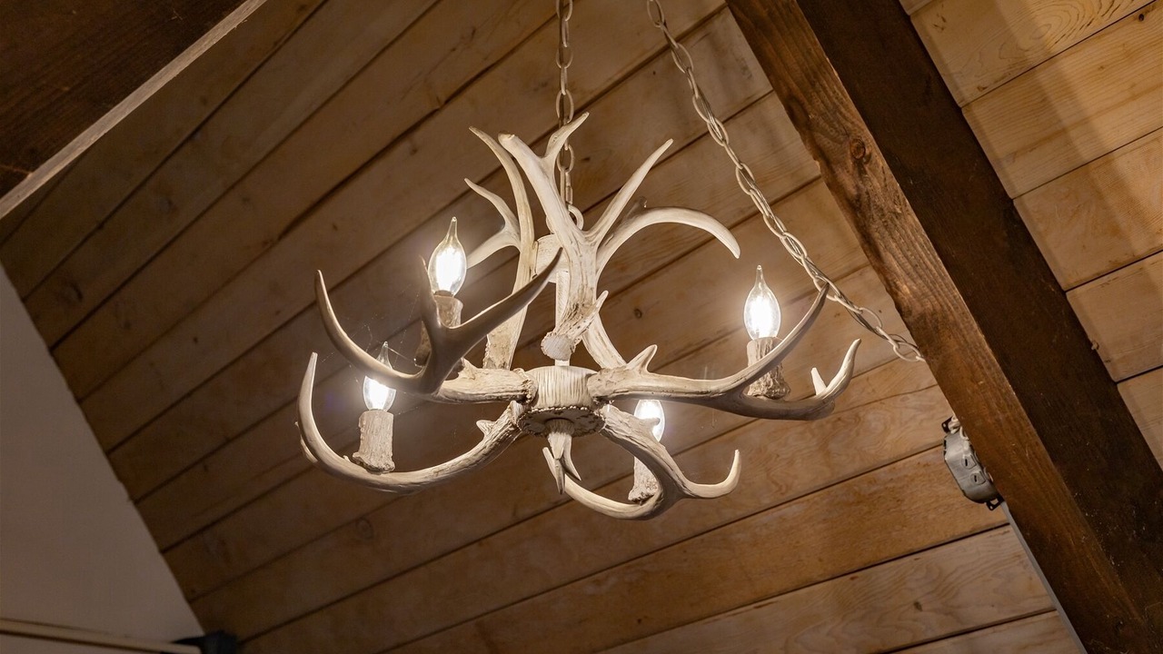 Photo of Others in Packwood