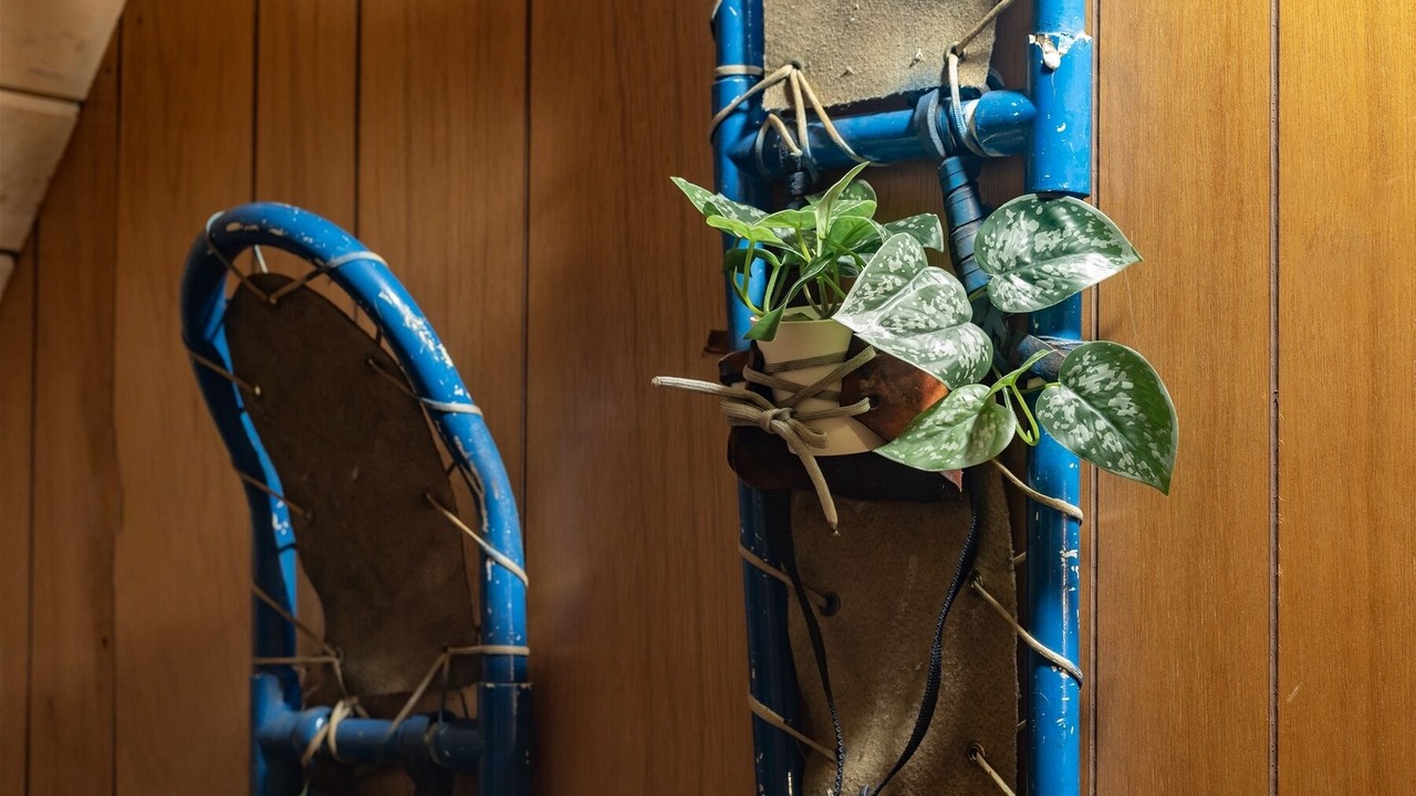 Photo of Others in Packwood