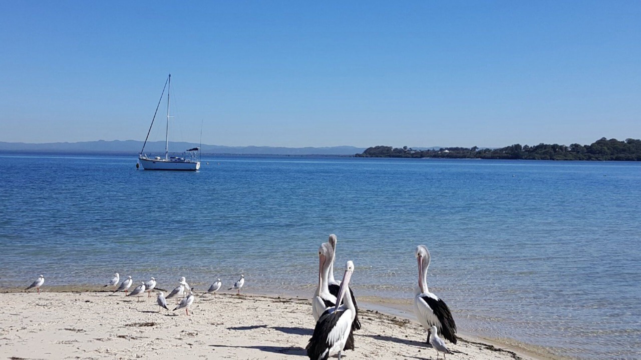 Photo of Others in Bongaree