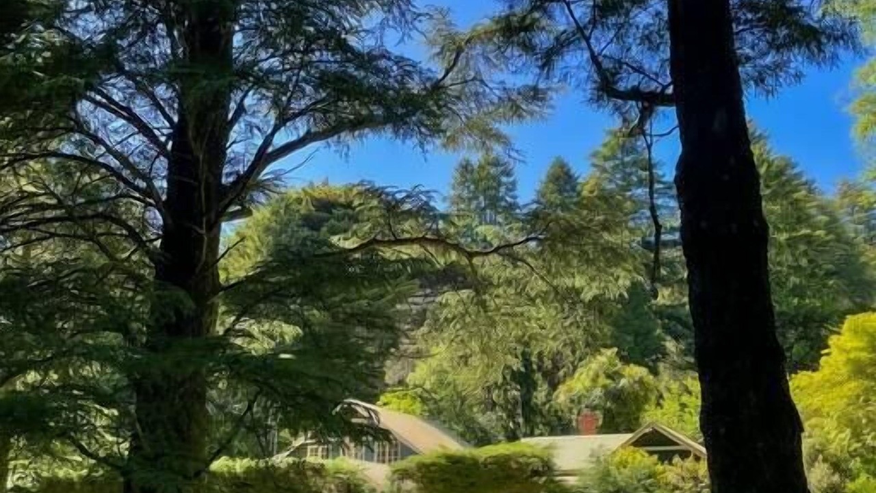 Photo of Others in Mount Macedon