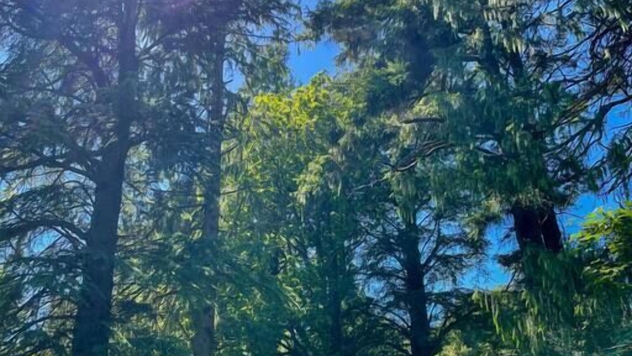 Photo of Others in Mount Macedon