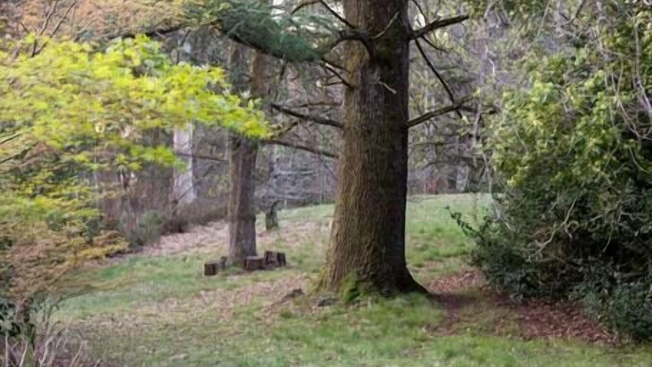 Photo of Outdoor in Mount Macedon