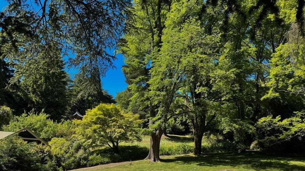 Photo of Outdoor in Mount Macedon