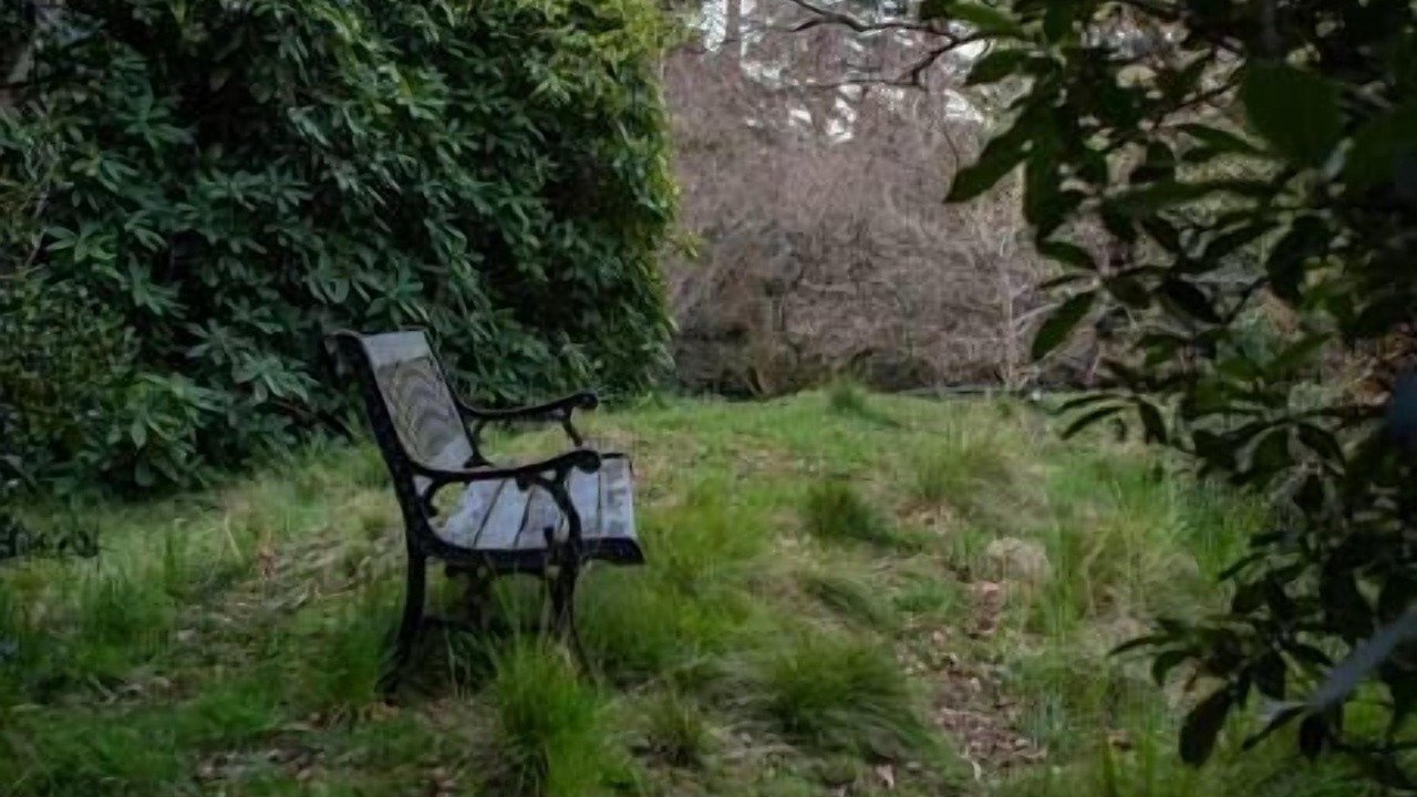 Photo of Outdoor in Mount Macedon