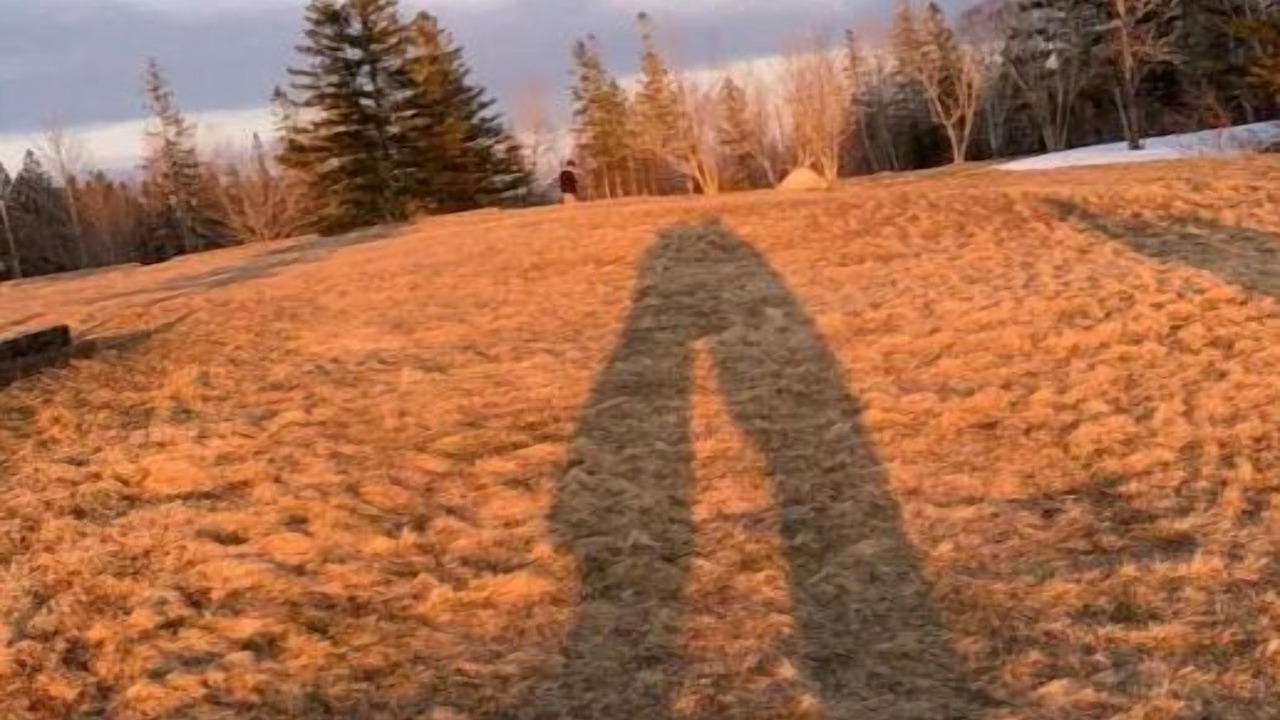 Photo of Others in Westville