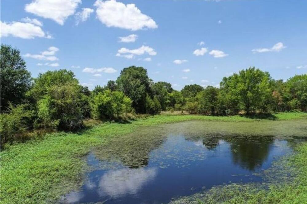 Photo of Others in Burleson County