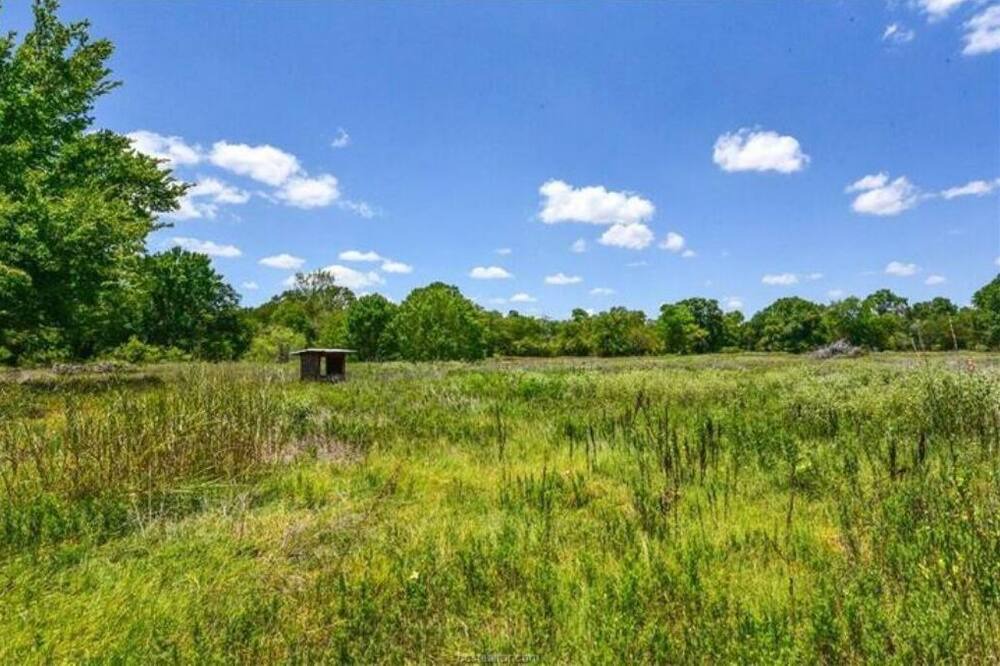 Photo of Others in Burleson County