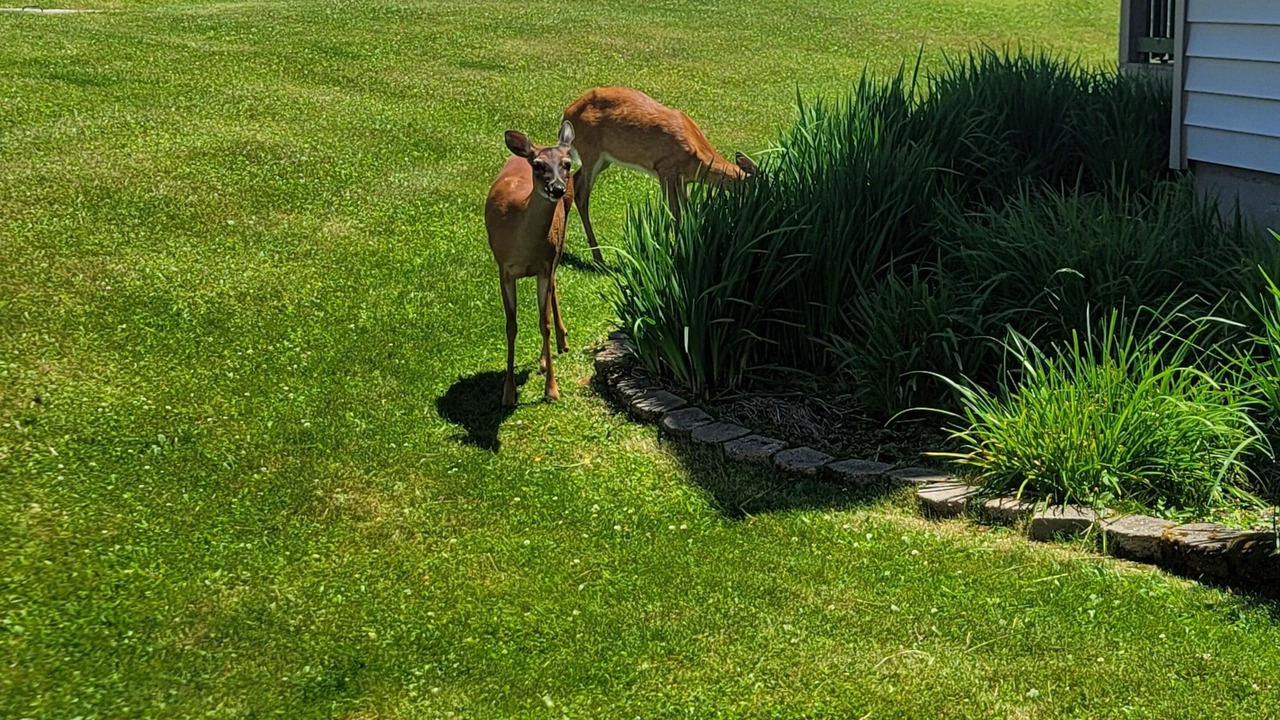 Photo of Outdoor in Banner Elk