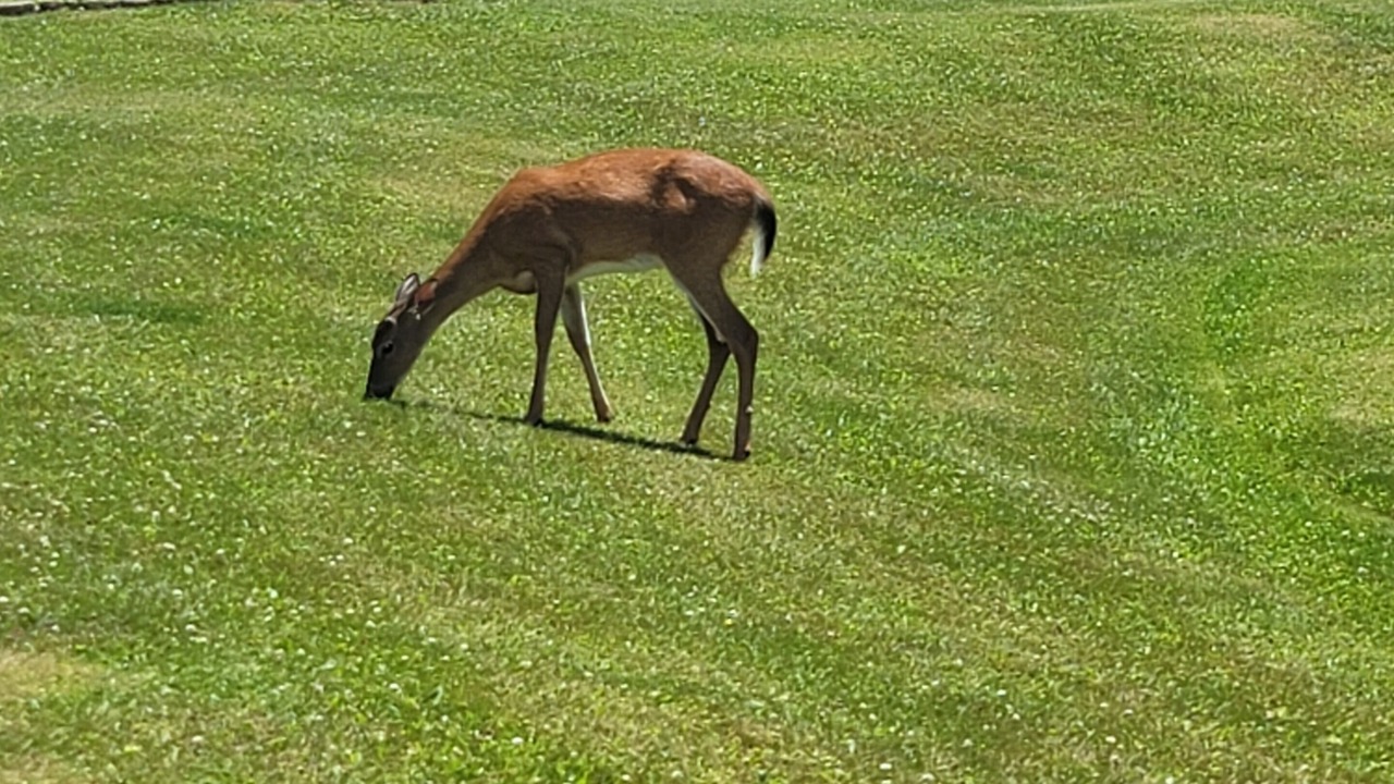Photo of Others in Banner Elk