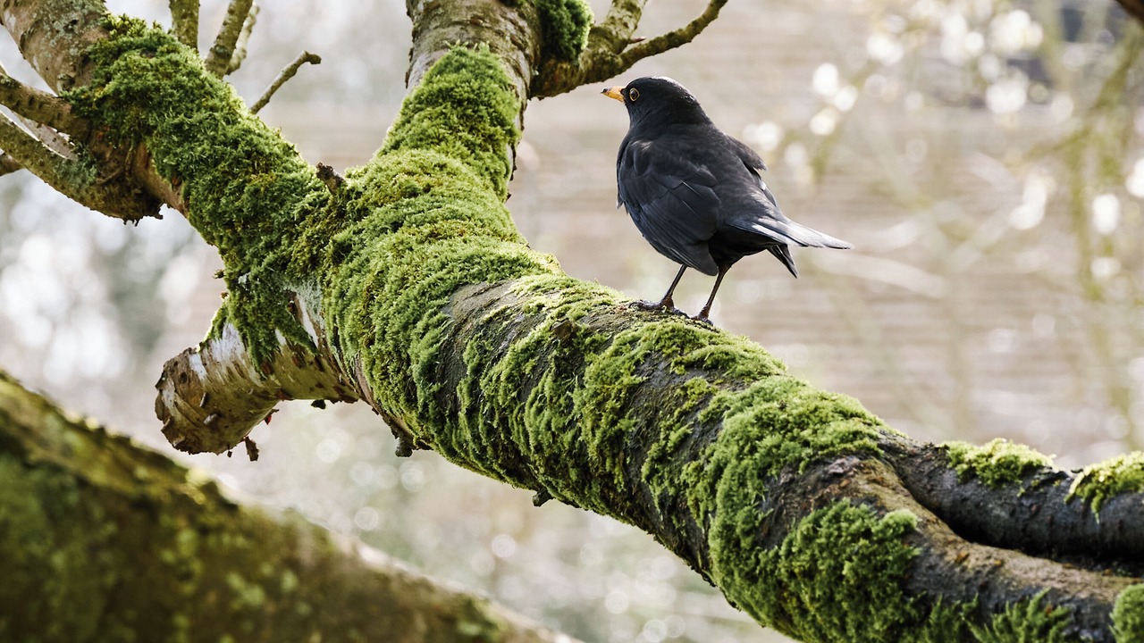 Photo of Outdoor in Kelmscott