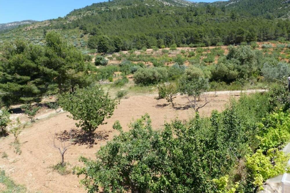 Photo of Others in La Serra d'En Galceran