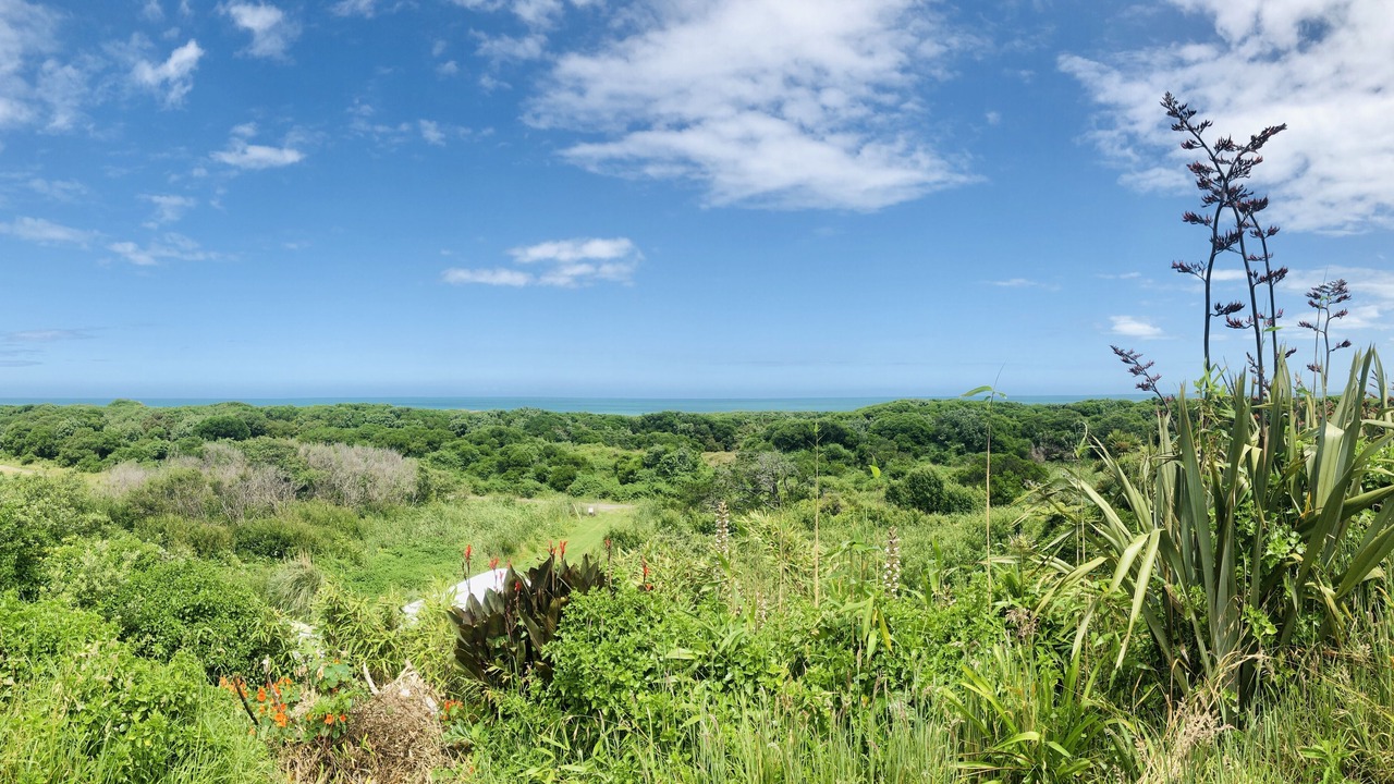 Photo of Outdoor in Castlecliff