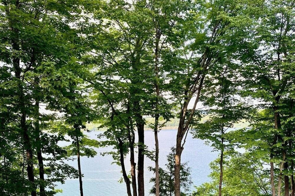 Photo of Outdoor in Skaneateles