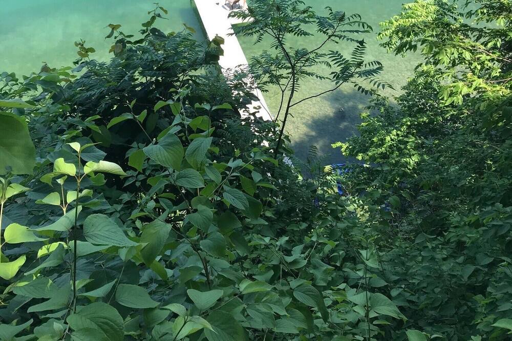 Photo of Others in Skaneateles