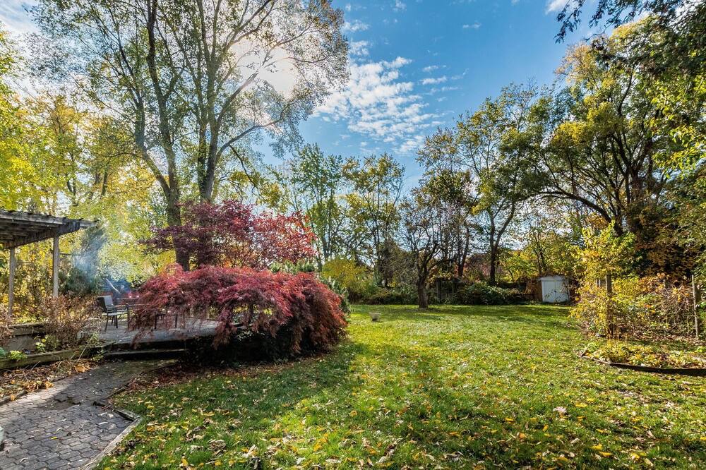 Photo of Outdoor in Clarkson-Lorne Park