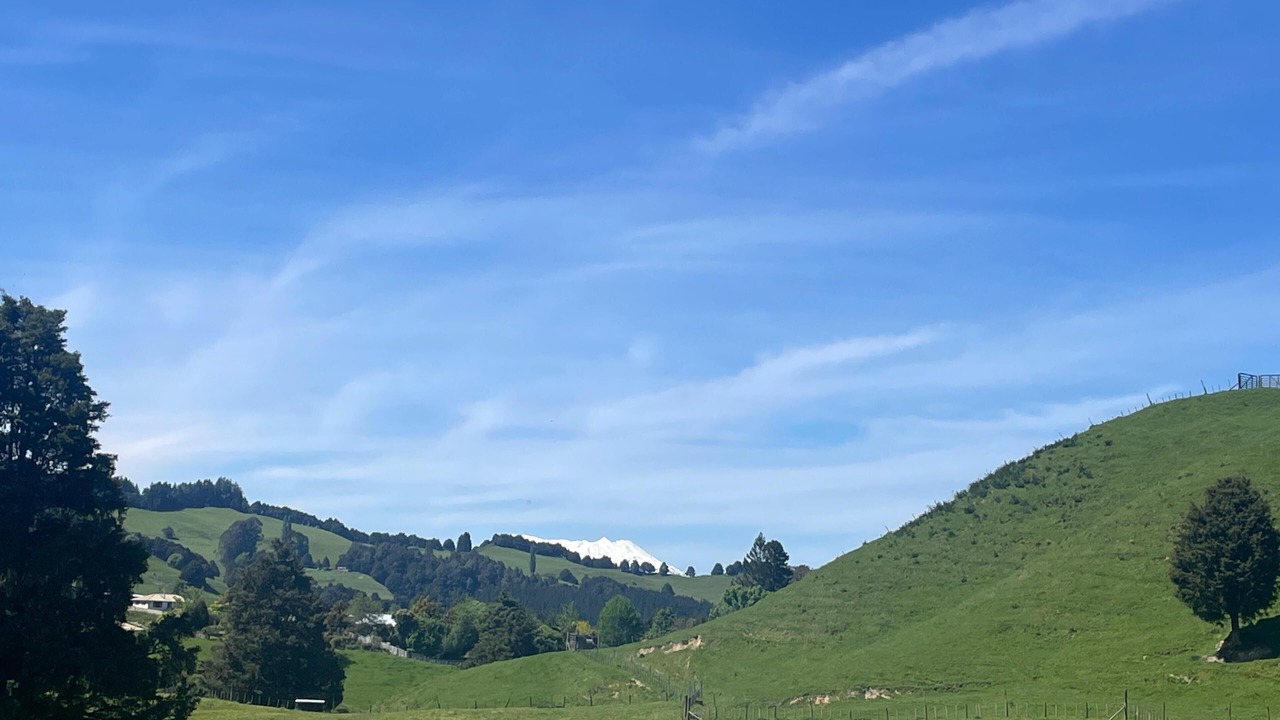 Photo of Others in Taumarunui