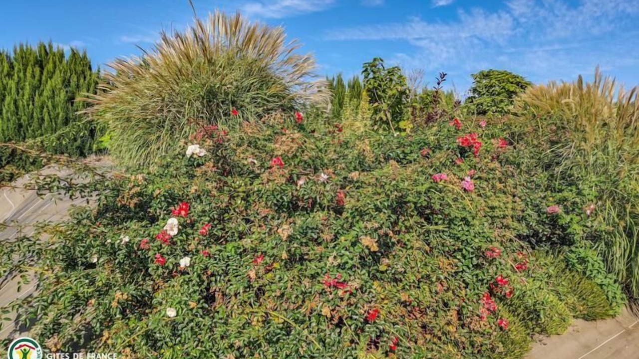 Photo of Outdoor in Les Essarts-le-Vicomte
