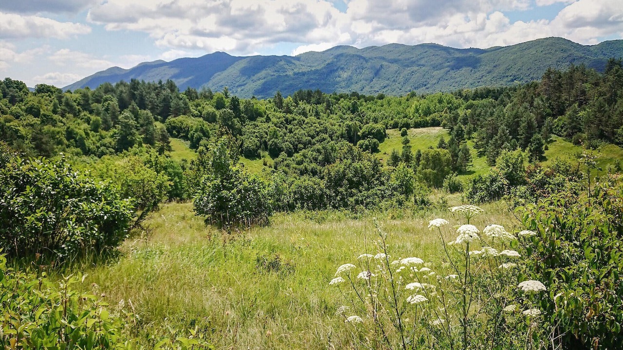 Photo of Outdoor in Vele Mune