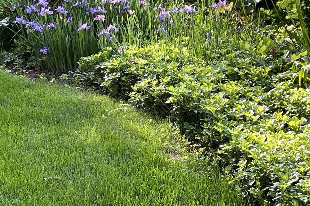 Photo of Outdoor in Grosse Pointe