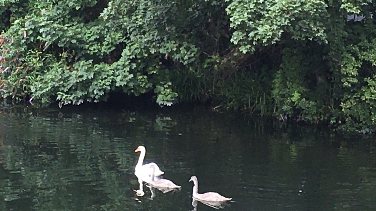 Photo of Outdoor in Attleborough